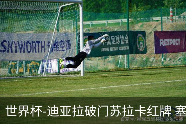 世界杯-迪亚拉破门苏拉卡红牌 塞内加尔半场1-0伊拉克