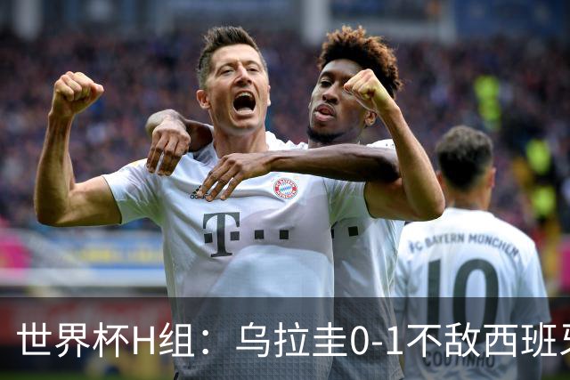 世界杯H组：乌拉圭0-1不敌西班牙 佛得角0-0战平沙特阿拉伯